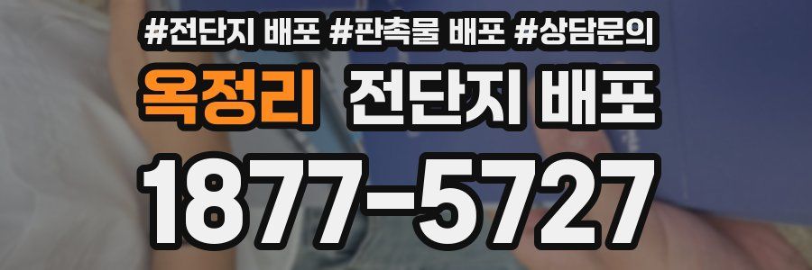 옥정리 전단지 배포