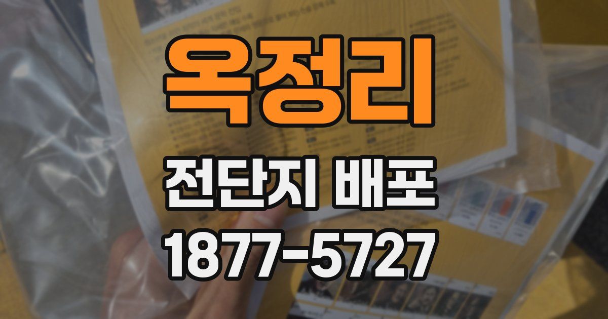 옥정리 전단지 배포