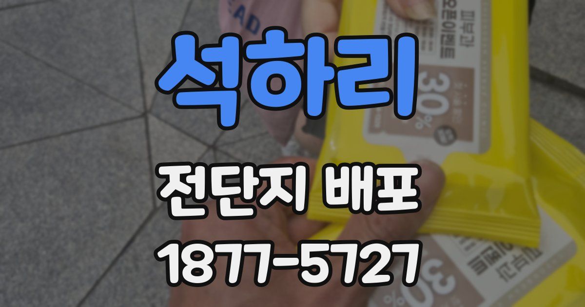 석하리 전단지 배포