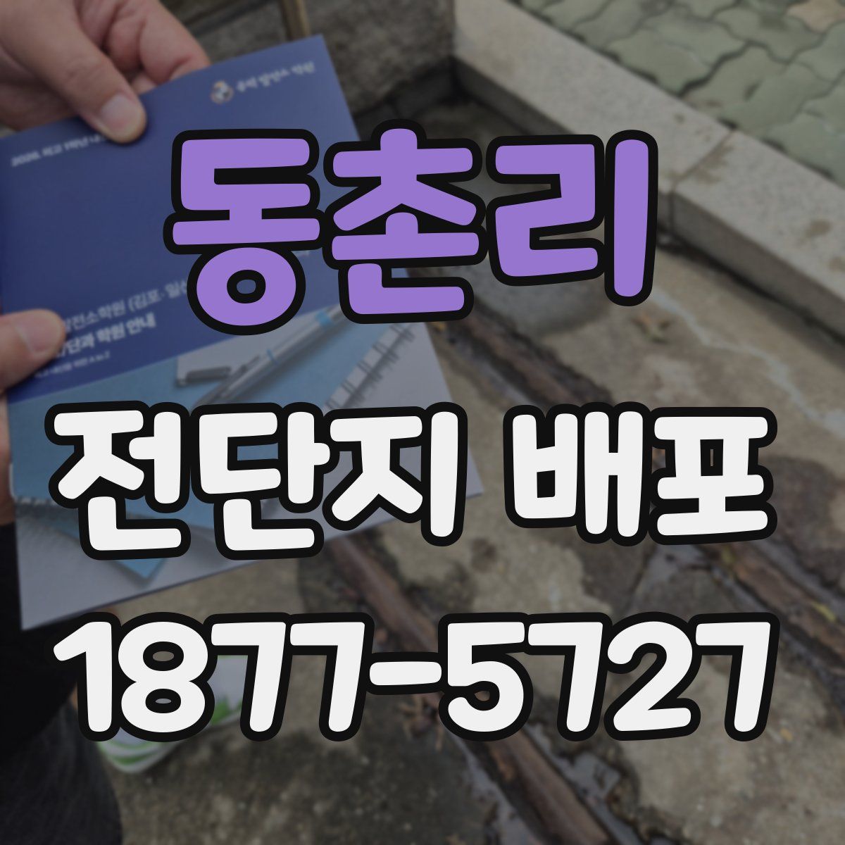 동촌리 전단지 배포