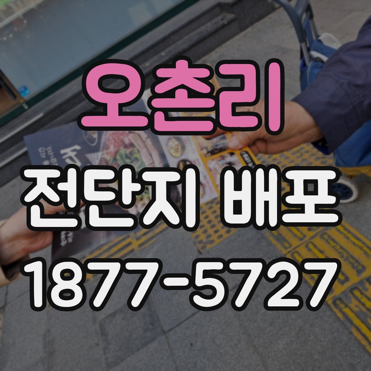 오촌리 전단지 배포