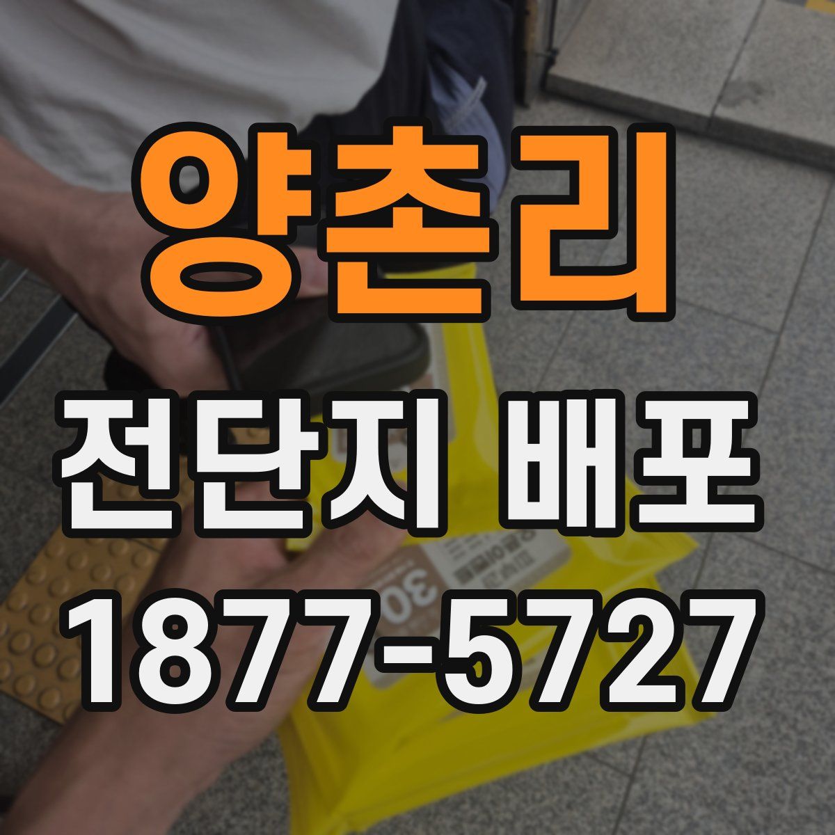 양촌리 전단지 배포