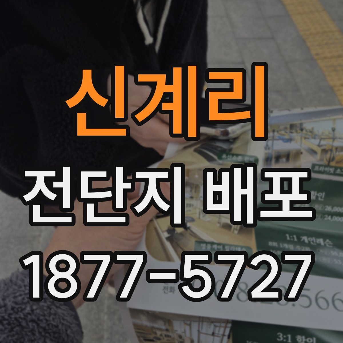 신계리 전단지 배포