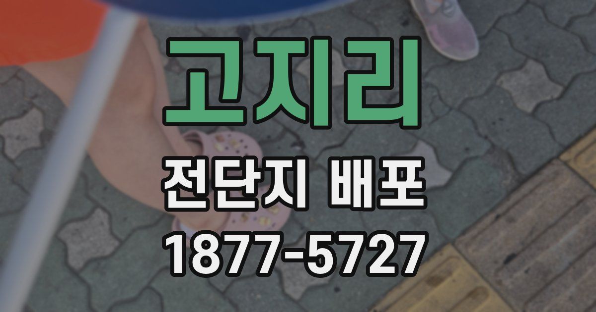 고지리 전단지 배포