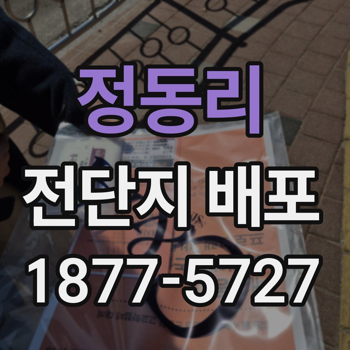 정동리 전단지 배포