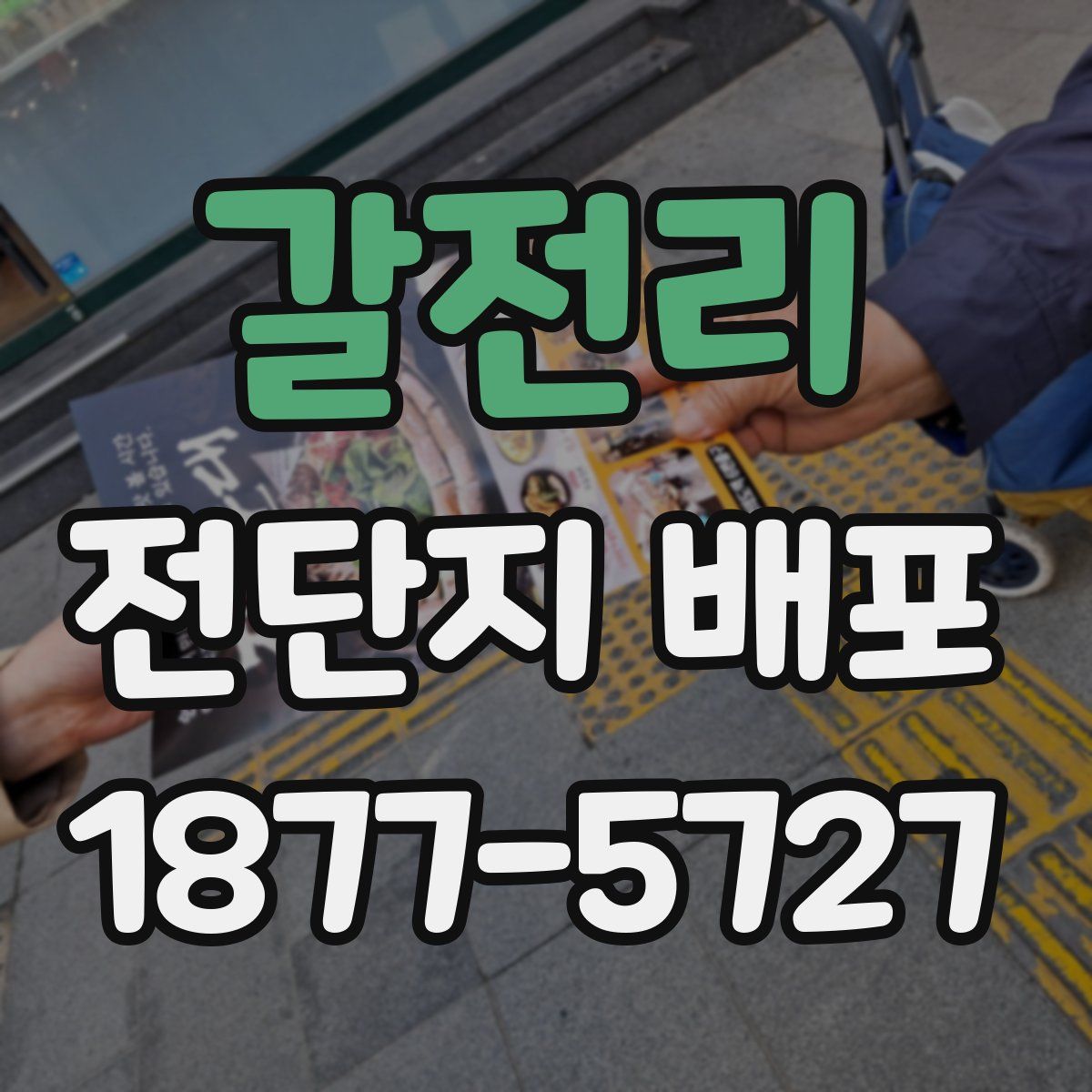 갈전리 전단지 배포