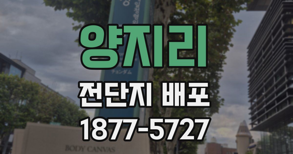 양지리 전단지 배포