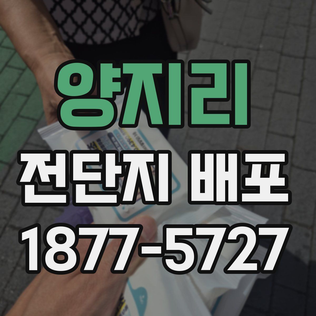 양지리 전단지 배포