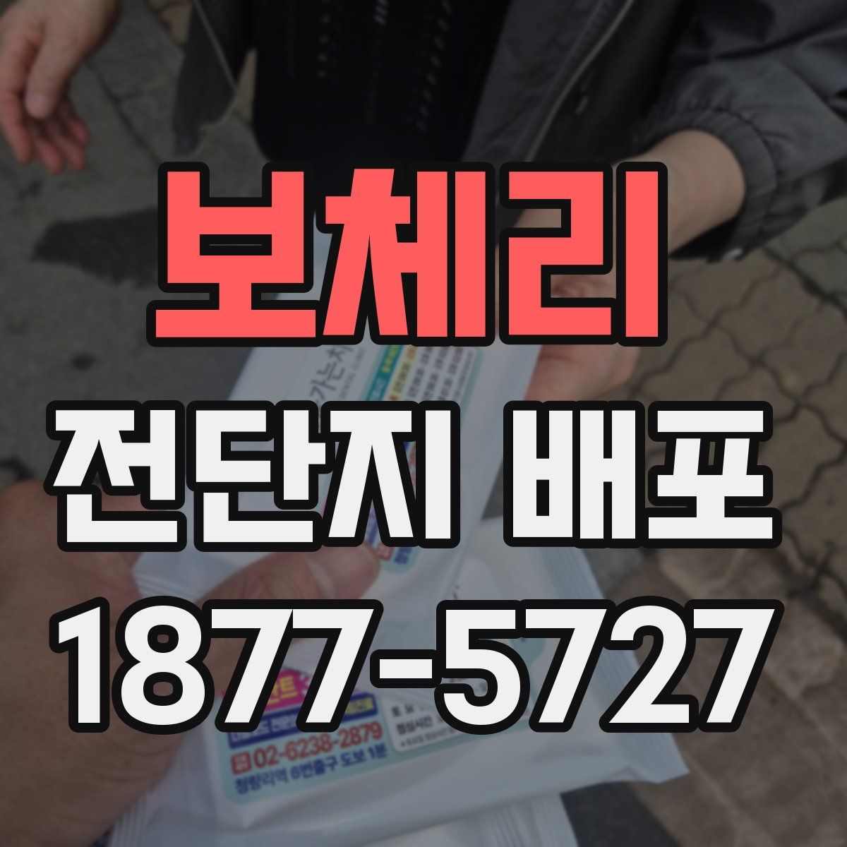 보체리 전단지 배포