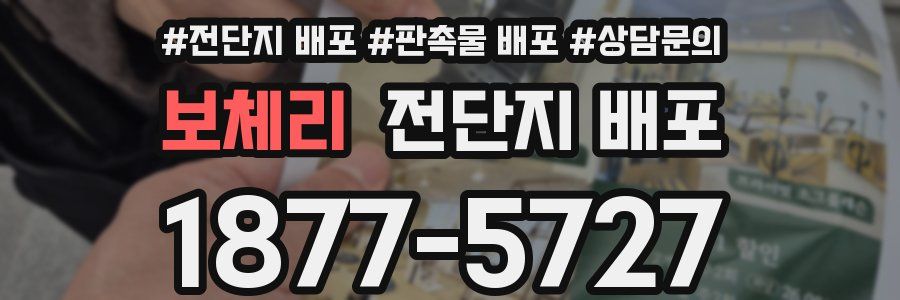 보체리 전단지 배포