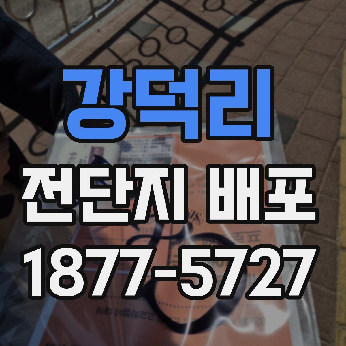 강덕리 전단지 배포