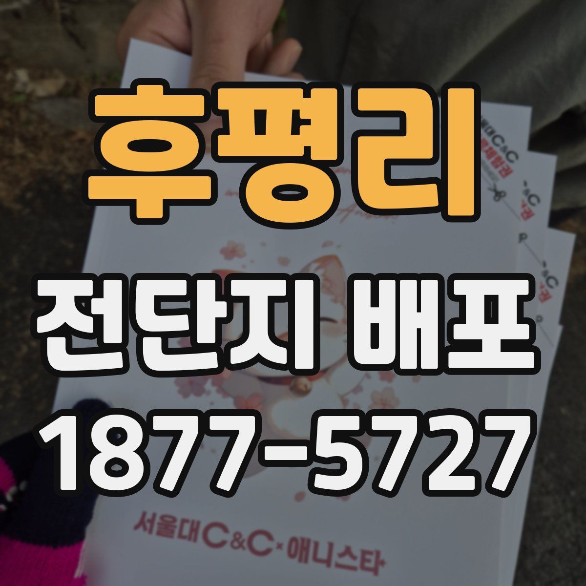 후평리 전단지 배포