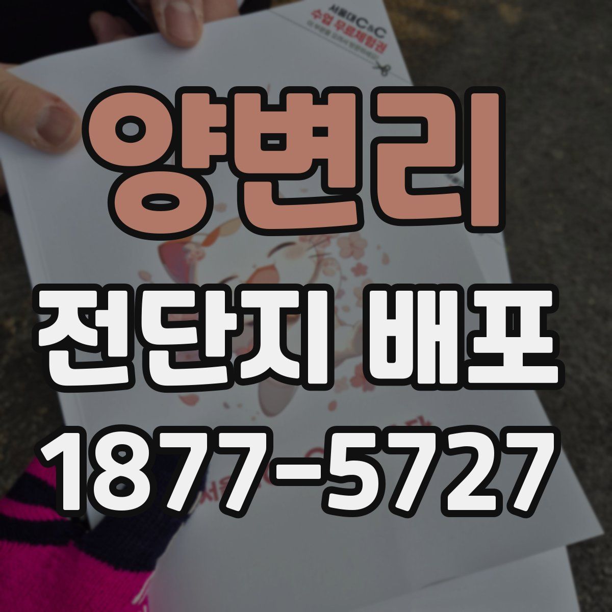 양변리 전단지 배포