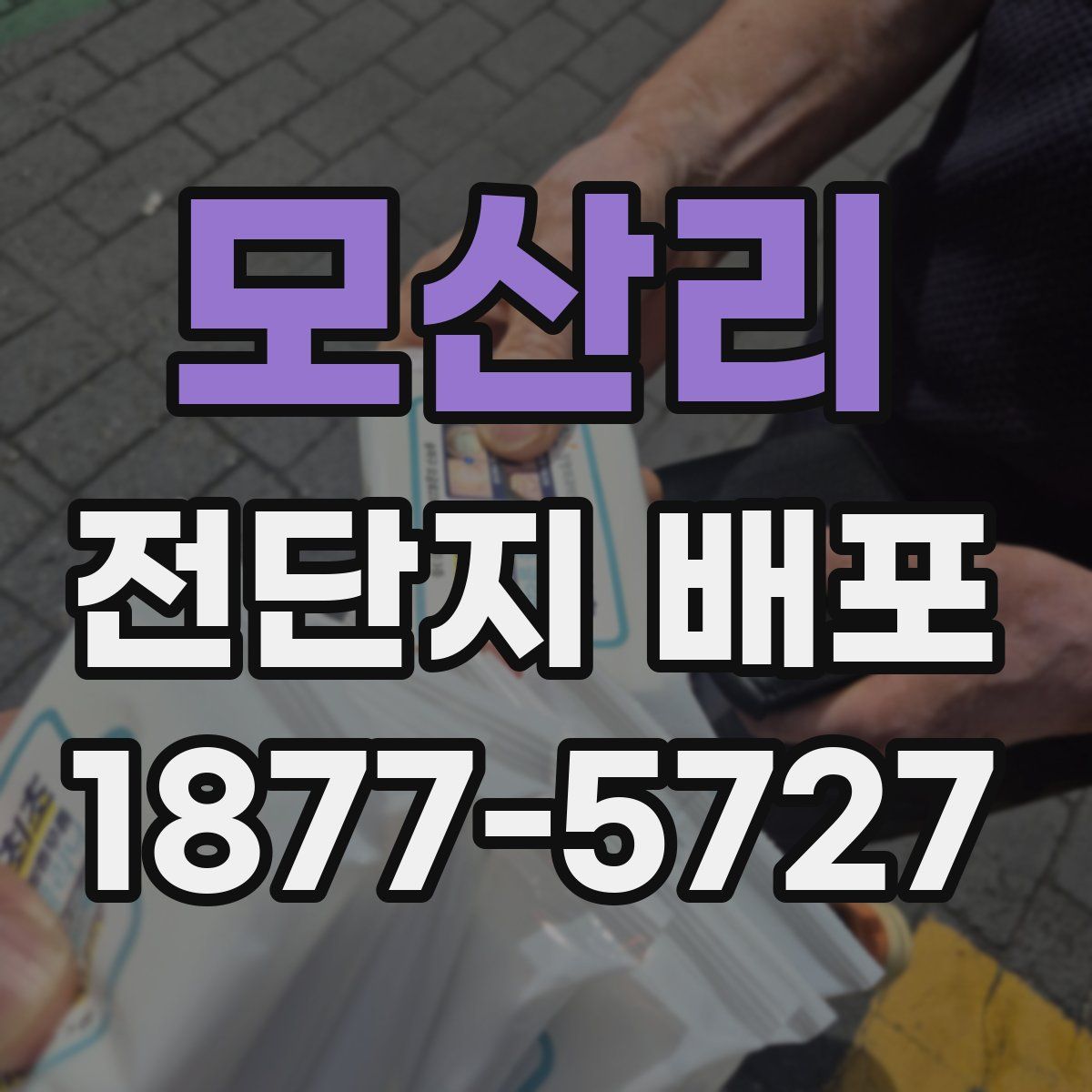 모산리 전단지 배포
