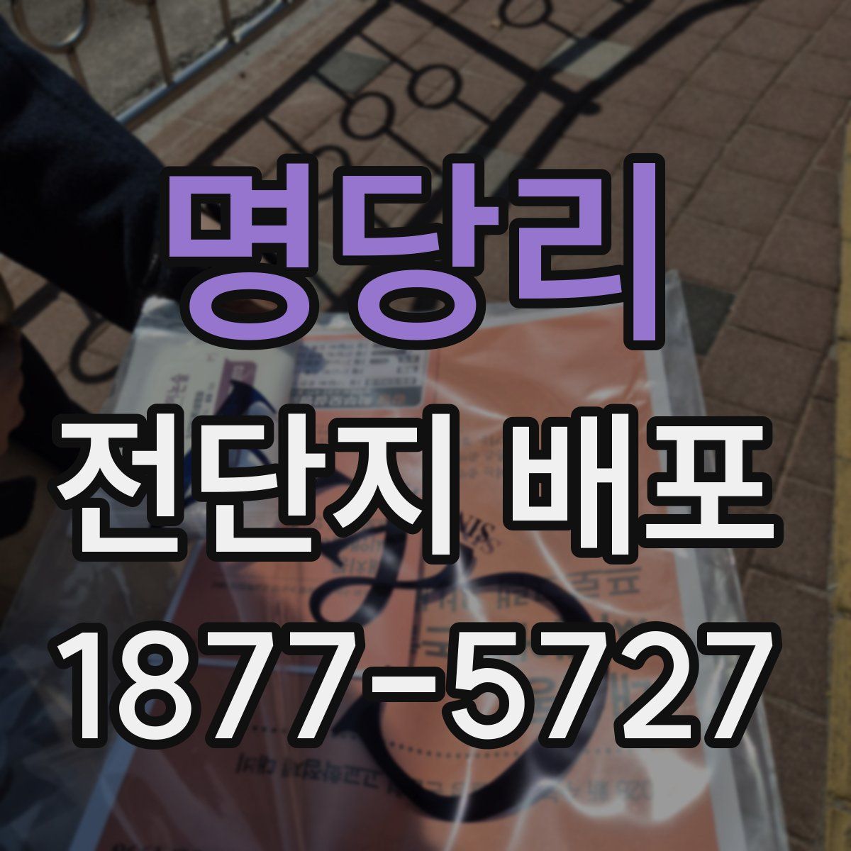 명당리 전단지 배포