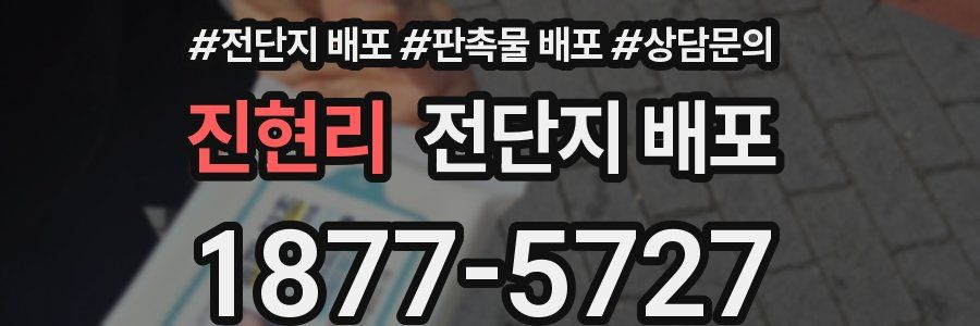 진현리 전단지 배포