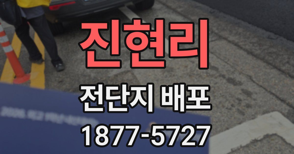 진현리 전단지 배포