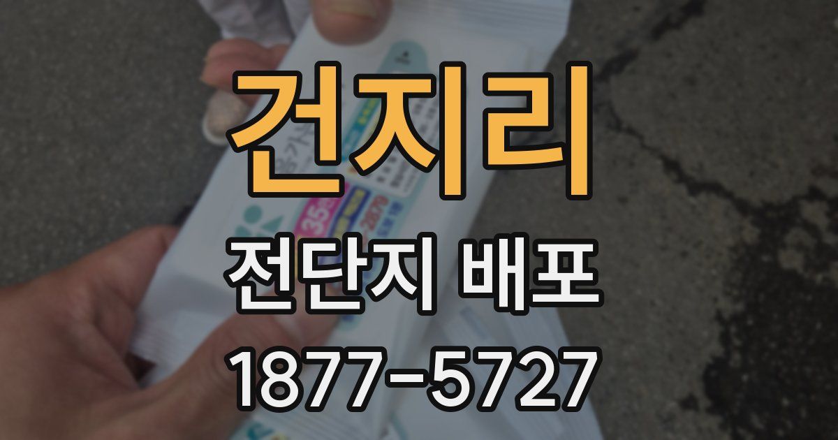 건지리 전단지 배포