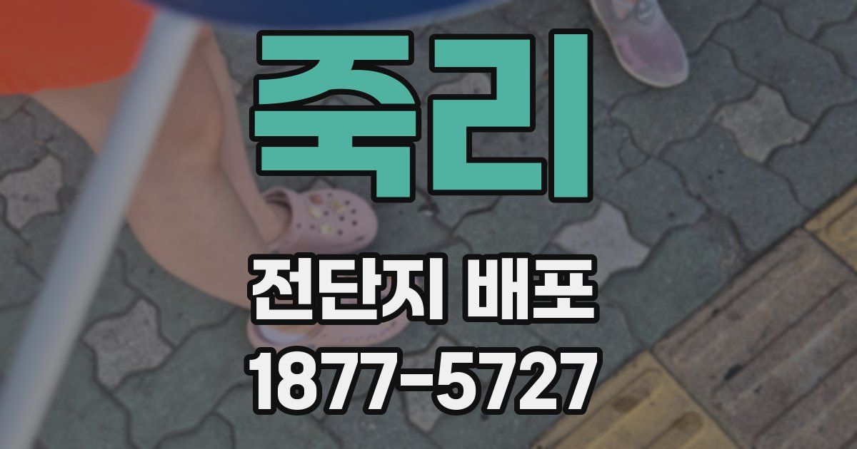 죽리 전단지 배포