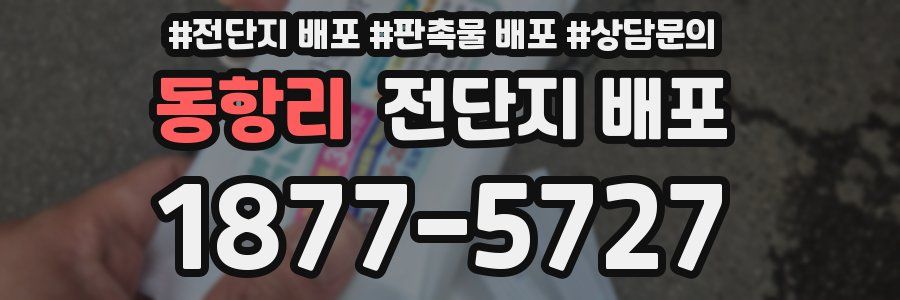 동항리 전단지 배포