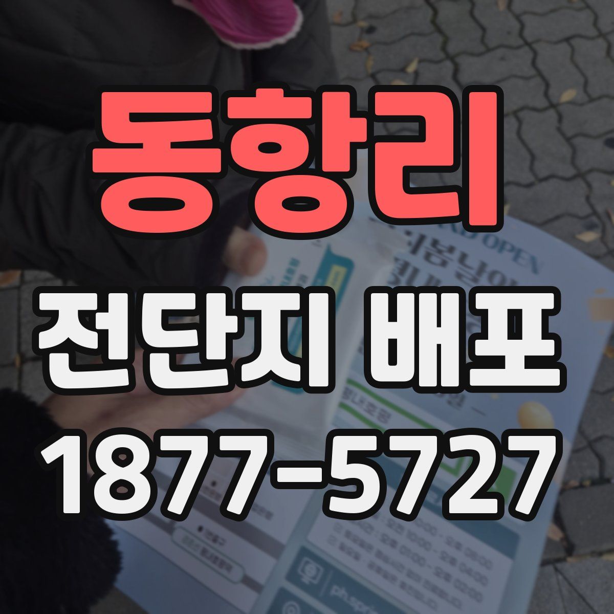 동항리 전단지 배포