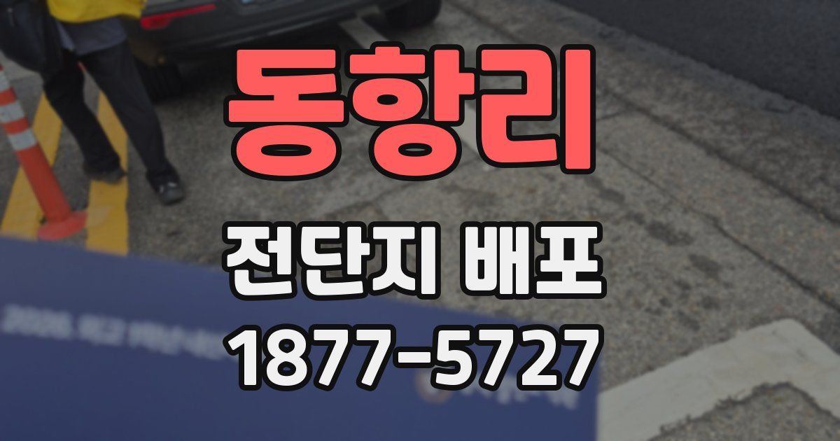 동항리 전단지 배포