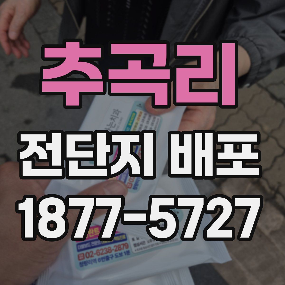 추곡리 전단지 배포