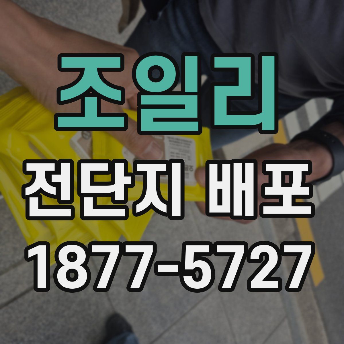 조일리 전단지 배포
