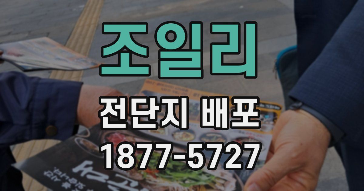 조일리 전단지 배포