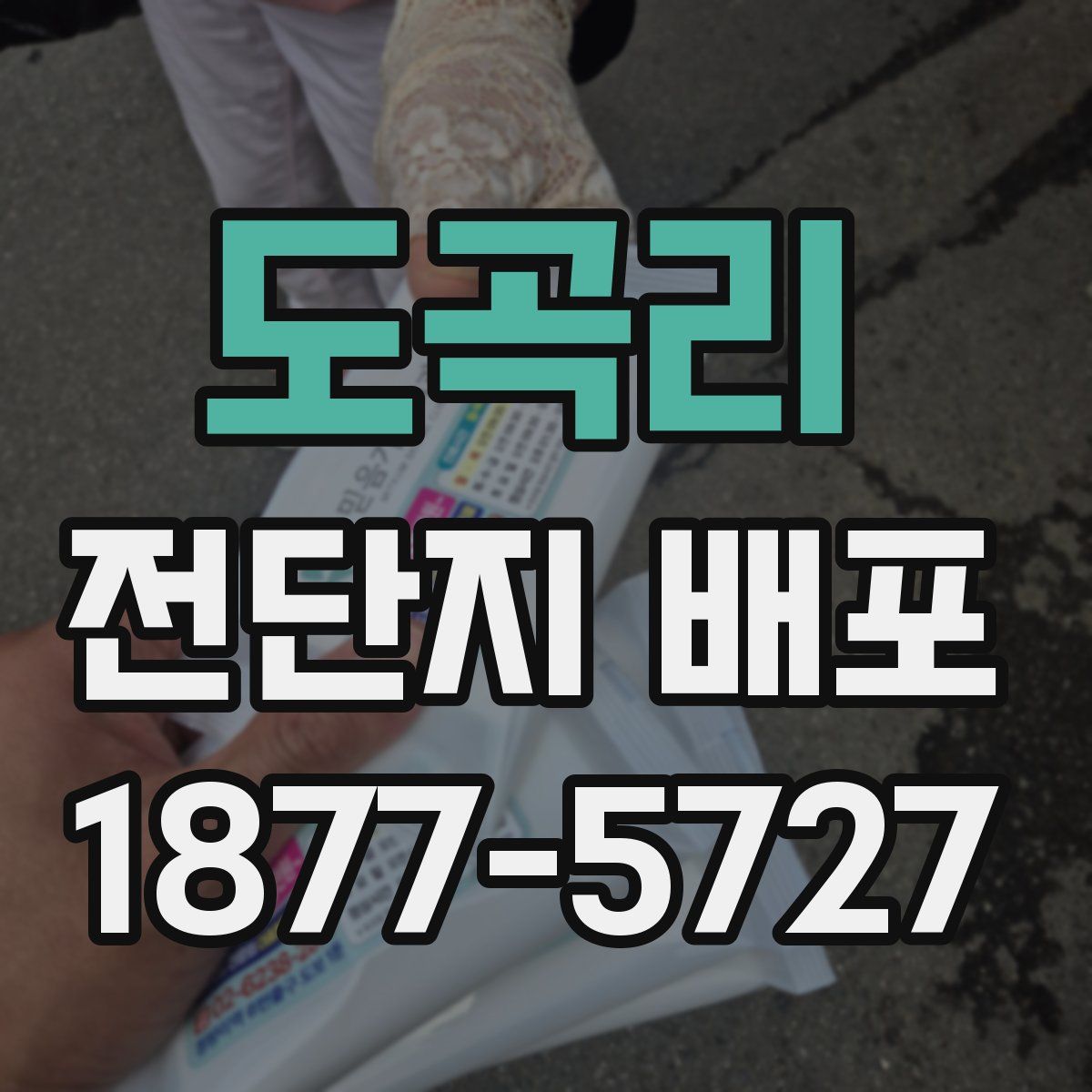 도곡리 전단지 배포