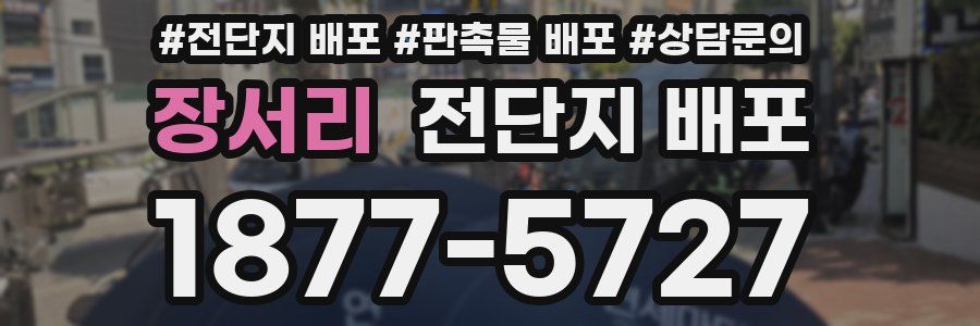 장서리 전단지 배포