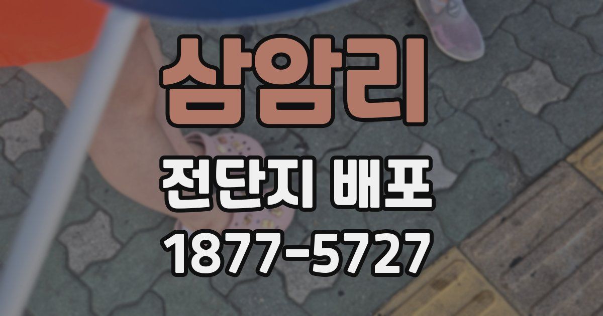 삼암리 전단지 배포