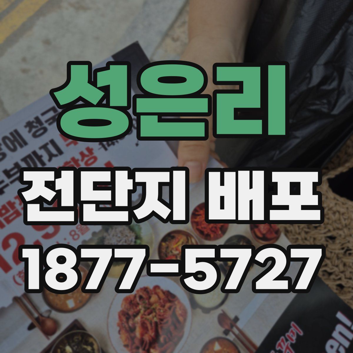 성은리 전단지 배포