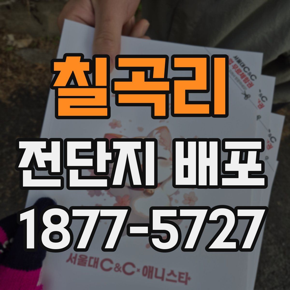 칠곡리 전단지 배포