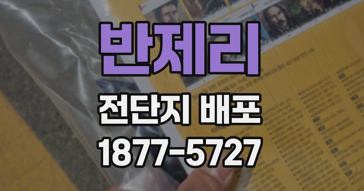 반제리 전단지 배포