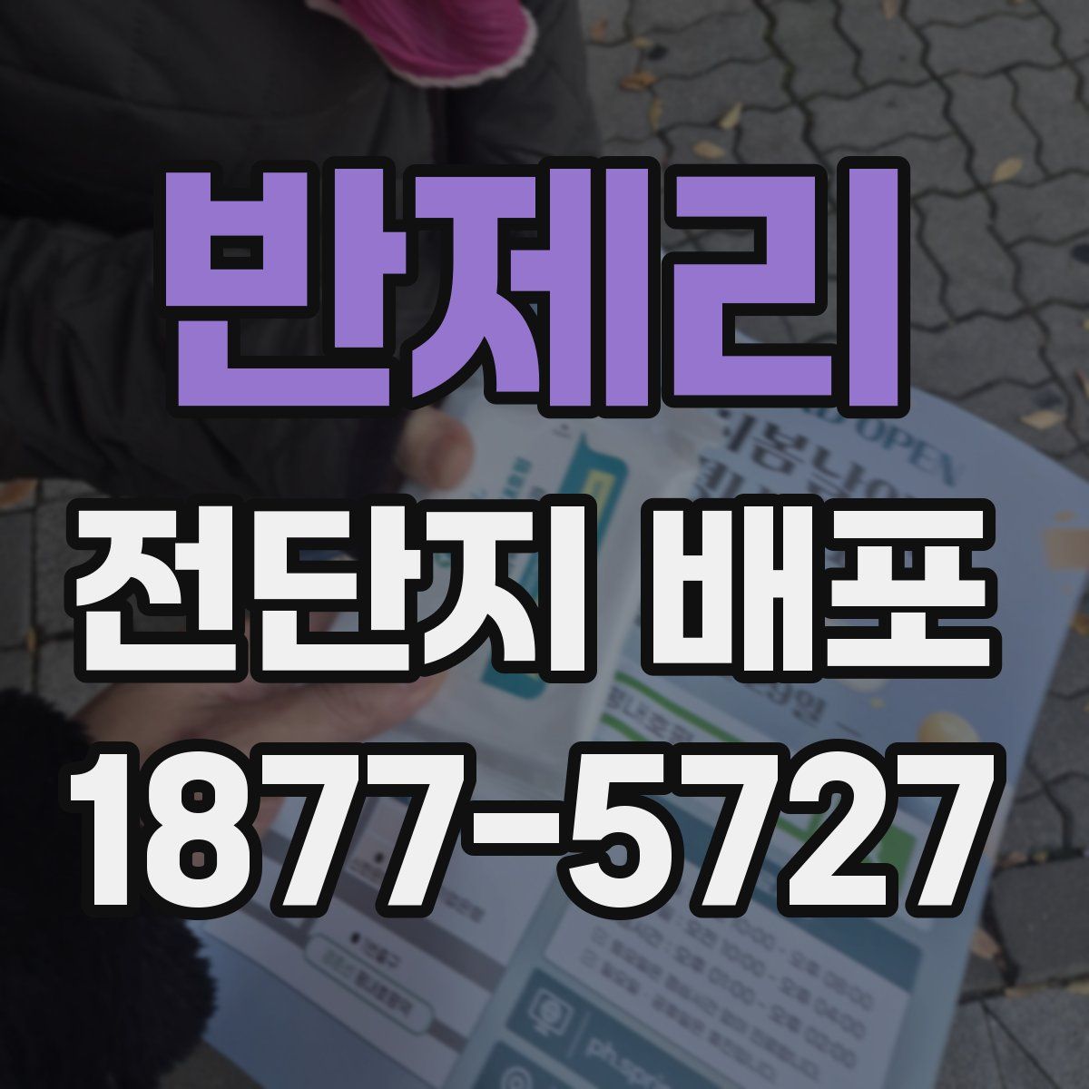 반제리 전단지 배포