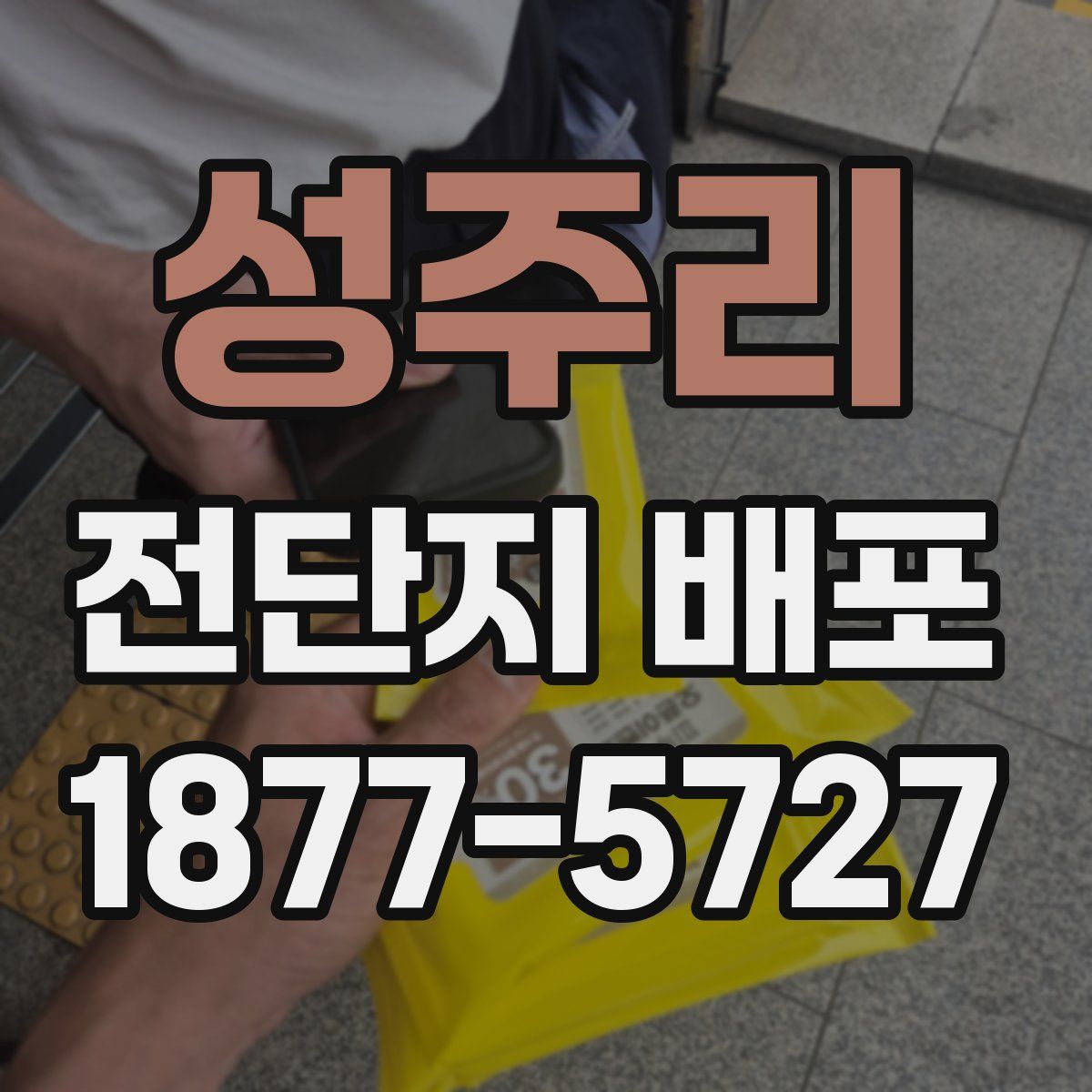 성주리 전단지 배포