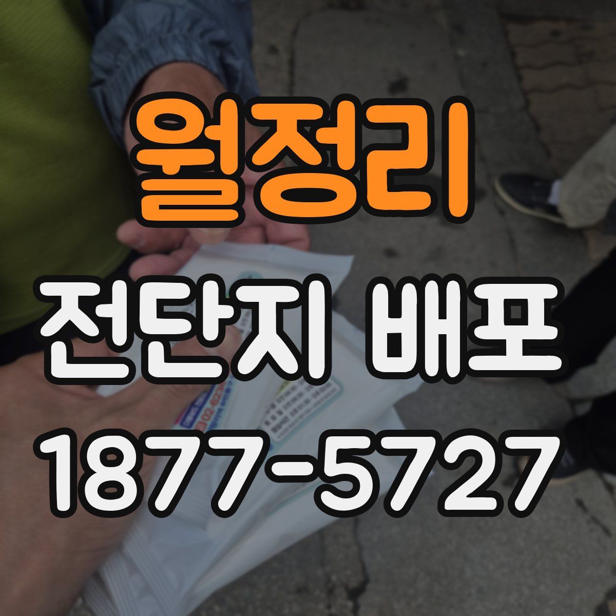 월정리 전단지 배포