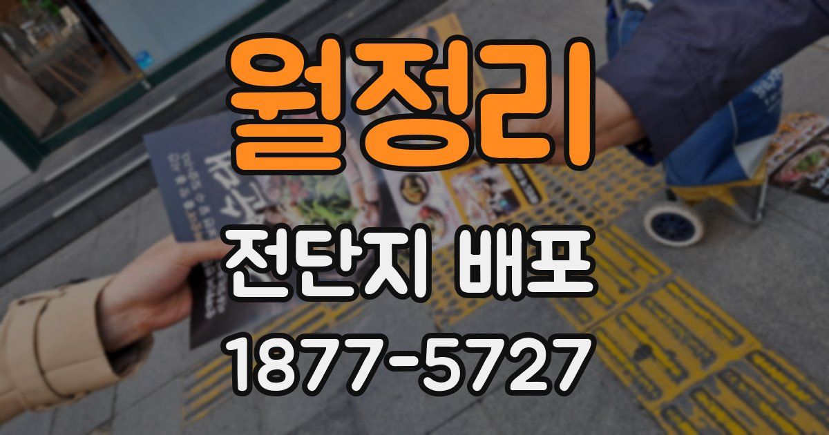 월정리 전단지 배포