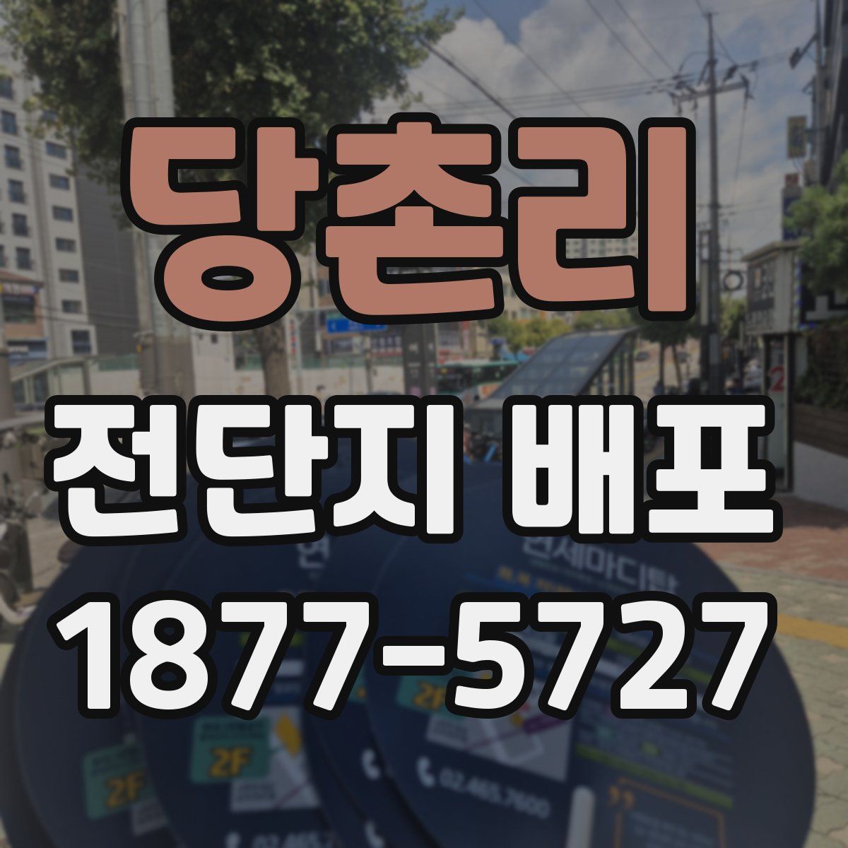 당촌리 전단지 배포