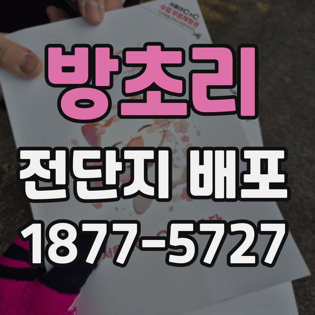 방초리 전단지 배포