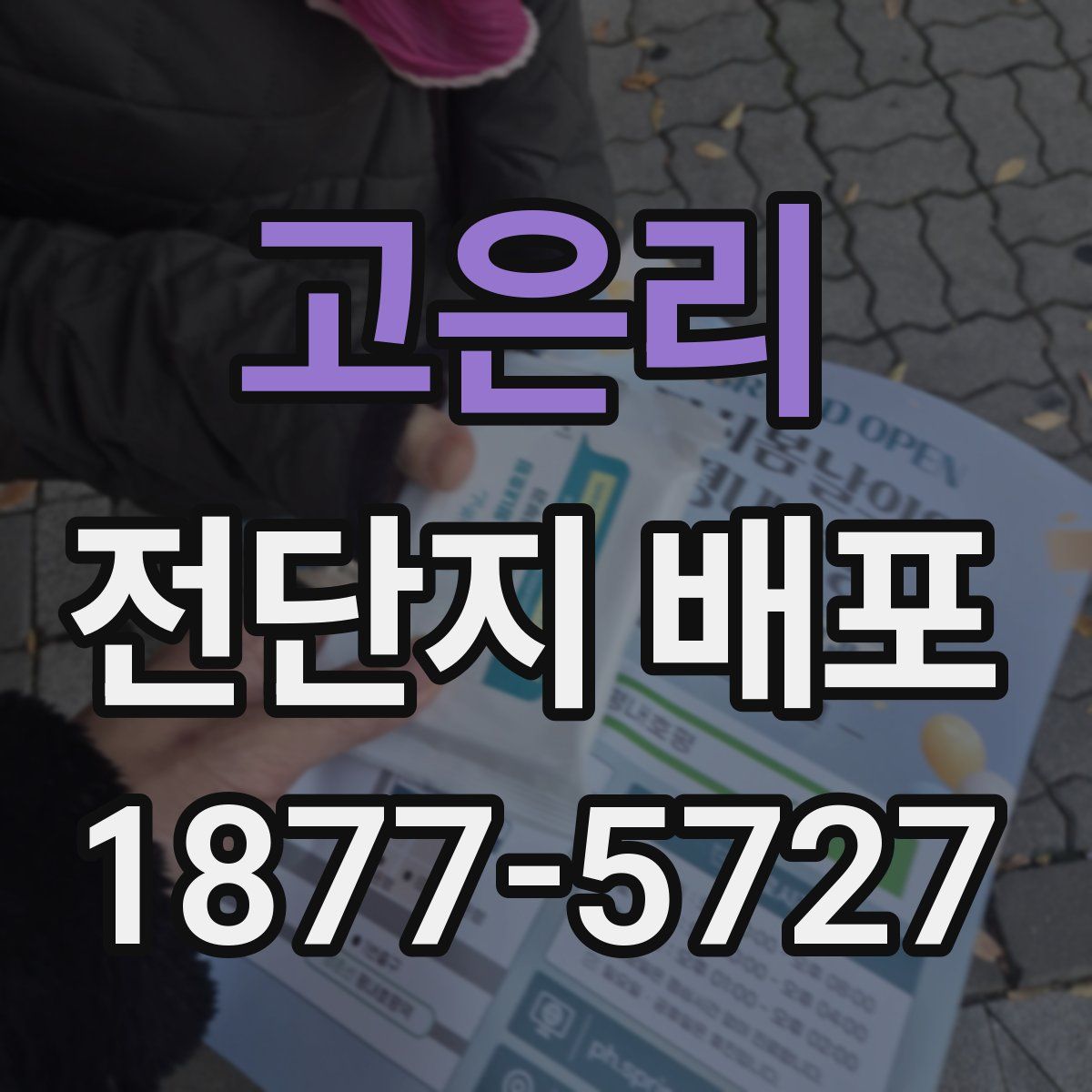 고은리 전단지 배포