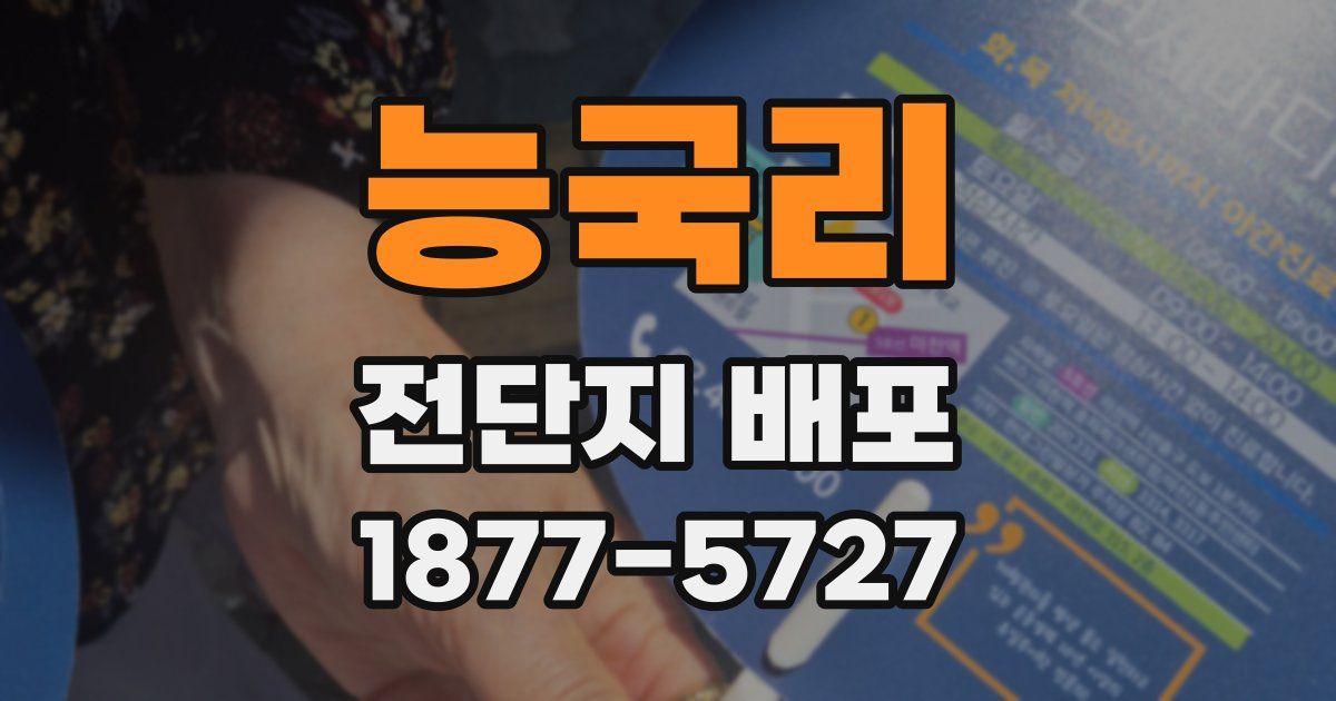 능국리 전단지 배포
