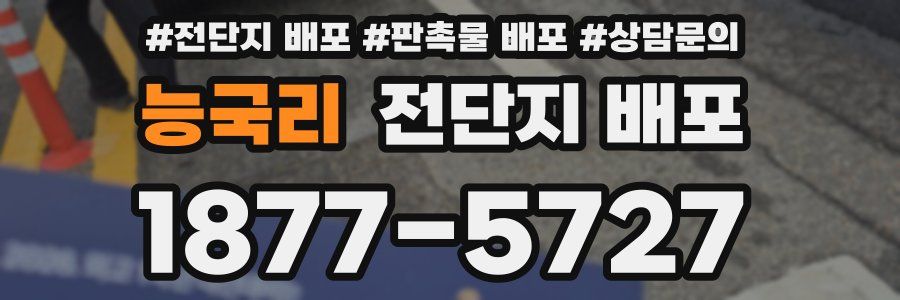 능국리 전단지 배포