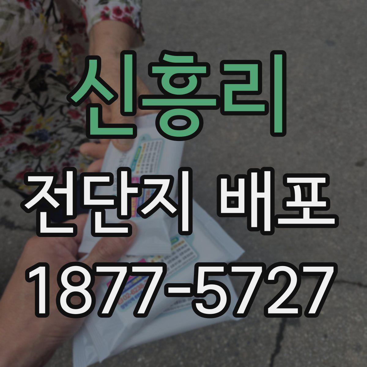 신흥리 전단지 배포