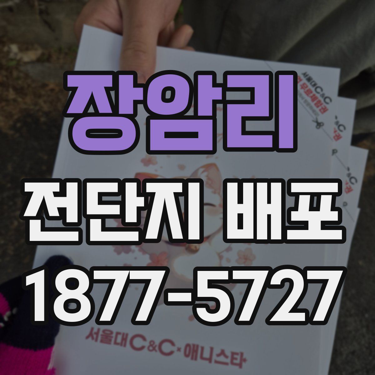 장암리 전단지 배포