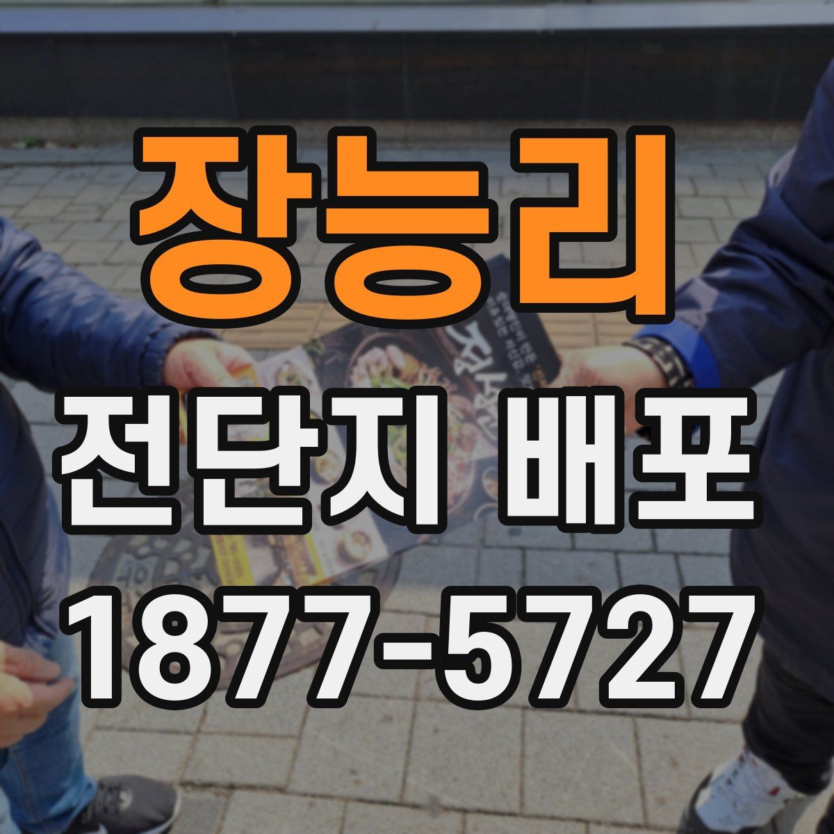 장능리 전단지 배포