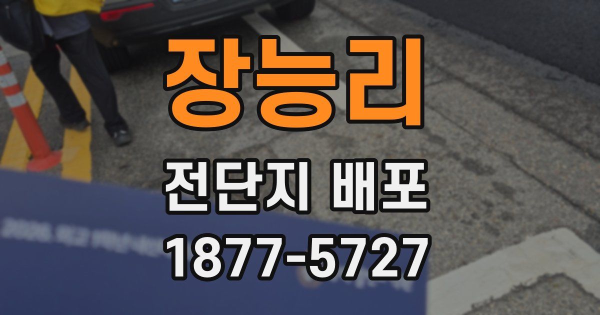 장능리 전단지 배포