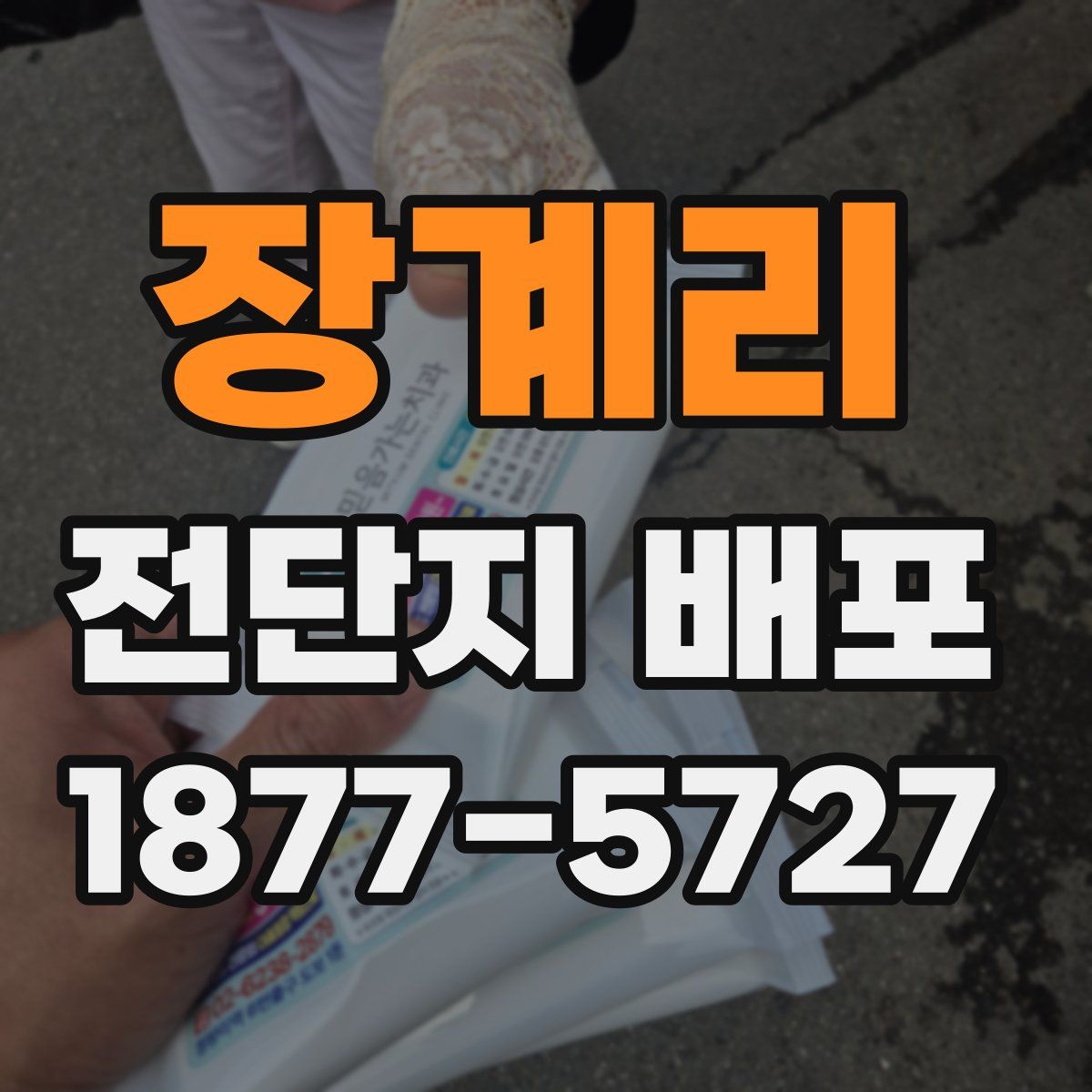 장계리 전단지 배포