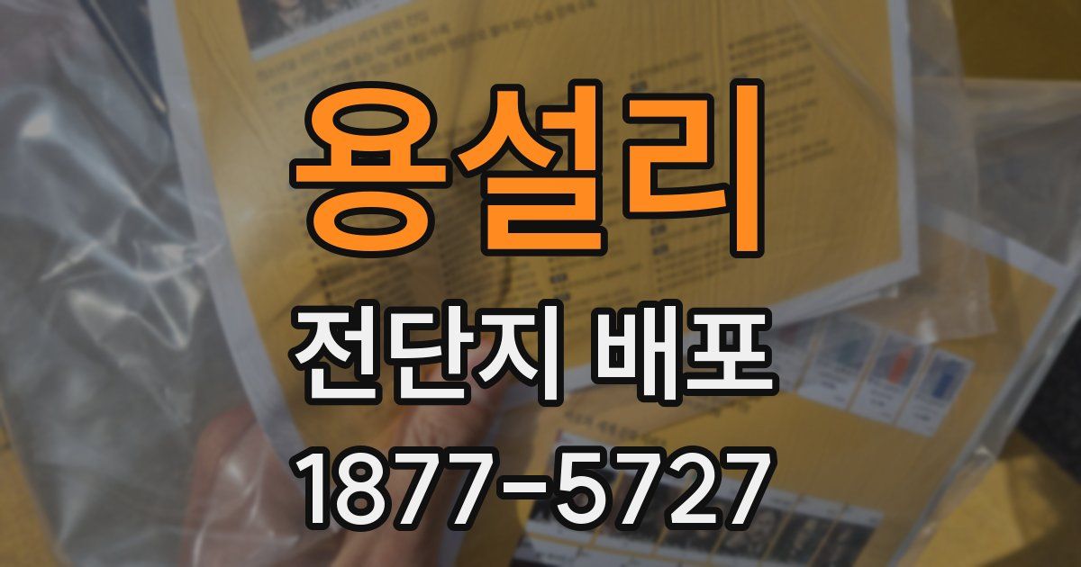 용설리 전단지 배포